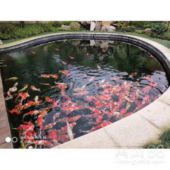 【河池杰蒙尼鱼池过滤器景观水系水过滤】-郑州
